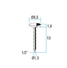 6/AN FLACHKOPF